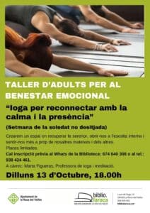 Taller adults per al benestar emocional