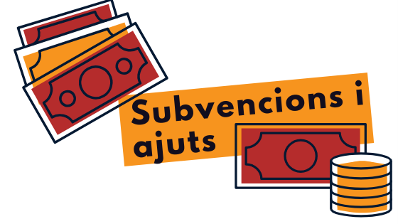 Justificacions subvencions 2024