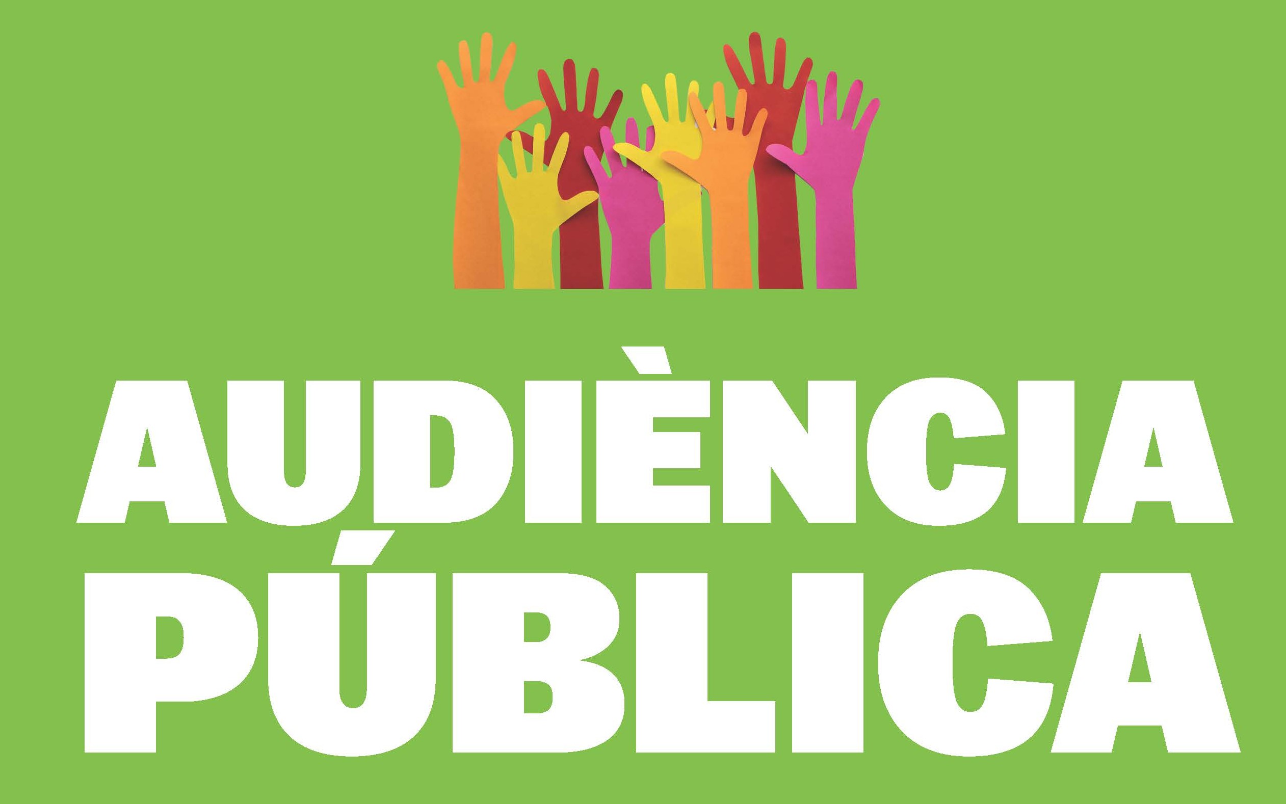 Audiència Pública 24 novembre 2025