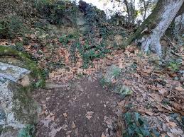 Descobrint Pessebres