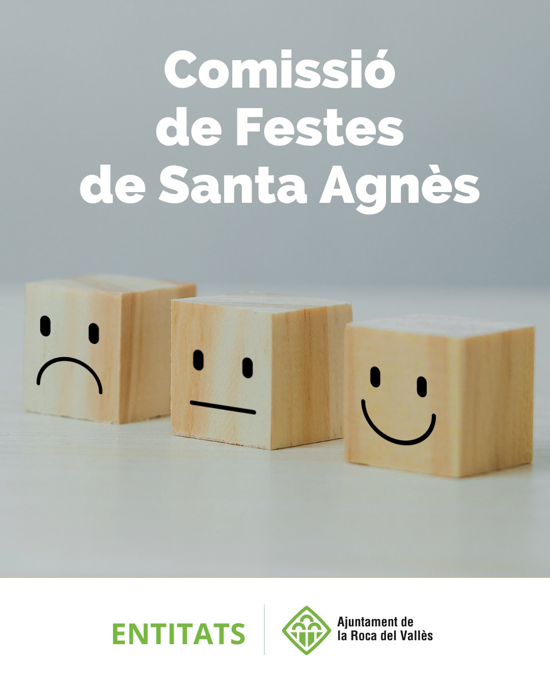 Reuni&oacute; Comissi&oacute; de festes de Santa Agn&egrave;s