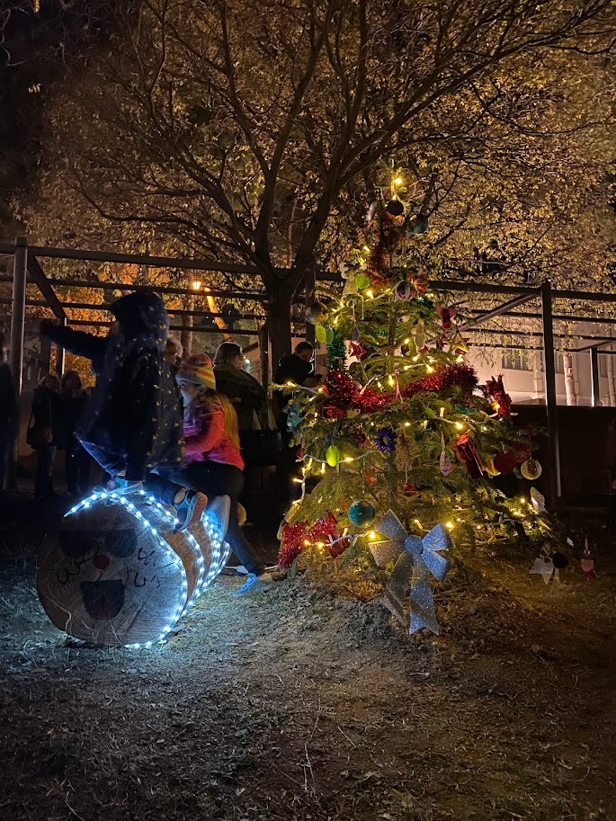 Encesa de l'arbre de Nadal de la Torreta